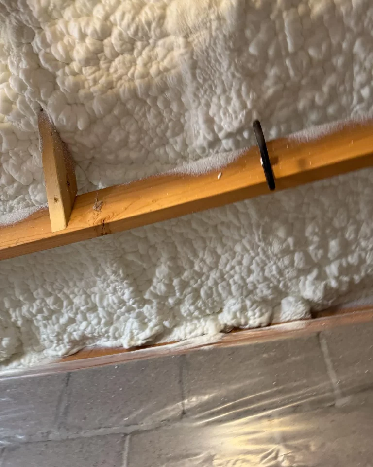 Open Cell spray foam in walls
